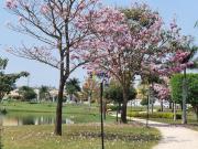 Casa à venda em Ibiti Royal Park