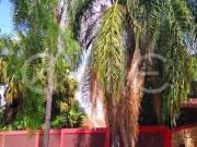 casa à venda em Parque Xangrilá