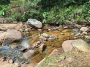 Casa a venda em SecretÃ¡rio, com 4 dormitÃ³rios por R$...