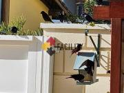 casa à venda em Swiss Park