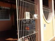 casa à venda em Vila Castelo Branco