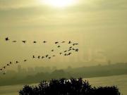 CASA À VENDA NA PRAIA DA LAGOA/GUARAPIRANGA/SP 5 DORMITÓRIOS