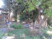 Imoveis na Vila Carvalho