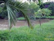 Casa à venda no bairro Jardim Ibiti do Paço Sorocaba/SP