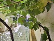 Casa à venda no bairro Santa Maria em Timóteo