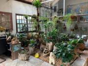 Casa à venda no Jardim Atlântico