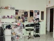 Imoveis no Jardim Simus