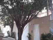 Casa à venda no Planalto Paulista