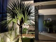 Casa a venda no Vila Monte Alegre em Paulínia/SP