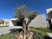 Casa à venda no Vitória Golf Lagoa Santa