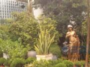 Casa a venda ou locaÃ§Ã£o com 3 quartos, 4 vagas...