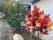 Casa à venda, Parque São Luís, Taubaté, SP