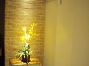 Casa à venda Paulinia campinas sp