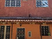 Casa Aconchegante em Condomínio Campo Grande