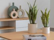 Casa adosada de alquiler en Marina de Casares