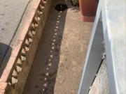 Casa adosada en venta en Amer. Gran casa con encanto...