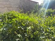 Casa adosada en venta en Arucas, Tres Barrios...