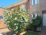 Casa adosada en Venta en Carrascal de Barregas