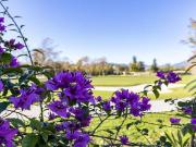 Casa adosada en Venta en Guadalmina Alta