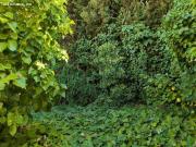 casa adosada en Venta en JaÃ©n. QTOT T778