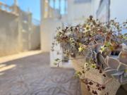 Casa adosada en Venta en Los Balcones Los Altos