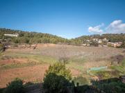 Casa adosada en venta en Mediona. Amplia casa pareada en...