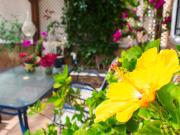 Casa adosada en venta en Orihuela, Villamartín Las...