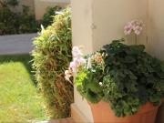 Casa adosada en venta en San Javier, Roda. Chale adosado...