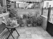 Casa adosada en venta en Sanlúcar de Barrameda, Bonanza...