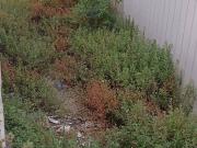 Casa adosada en Venta en Sant Celoni