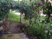 Casa adosada en Venta en Santa Rosa