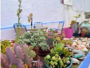 Casa adosada Venta Chiclana de la Frontera, Núcleo...