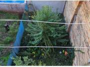 Casa adosada Venta Navarcles, Navarcles Casa adosada Venta Navarcles, Navarcles