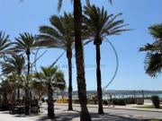 Casa adosada Venta Palma de Mallorca, Palma de Mallorca