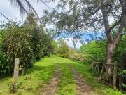 Casa Alquiler 3 ambientes 40 años, 60m2, 66 Y 200 Olmos... Casa Alquiler 3 ambientes 40 años, 60m2, 66 Y 200 Olmos...