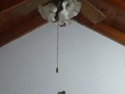 Casa Alquiler 40 años 3 ambientes, 60m2, 5 cocheras, El...