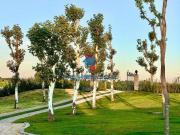 Casa alto luxo mobiliada à venda em um dos condomínios...