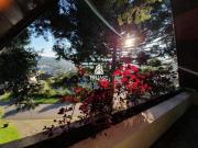 Casa alto padrão 3 dormitórios, 2 suítes, 4 vagas São João