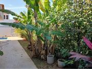 302 Área Útil Casa Alugar, 3 Dormitórios localizado em...