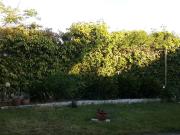 CASA AMPLIA EN BARRIO VILLA CLUB