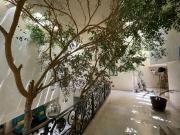 CASA AMUEBLADA EN RENTA Ahuehuetes Norte, Bosques de las...