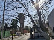 Casa amueblada en renta en fraccionamiento Nogalera