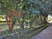 Casa amurallada en Rábade