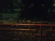 casa arredata Frassino