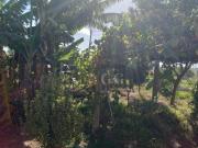 Casa bem localizada na Varzinha RS