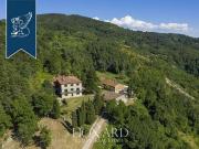 Casa Borgo San Lorenzo Firenze DS96317149