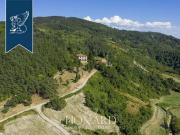 Casa Borgo San Lorenzo Firenze ELS96317149