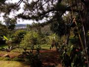 Casa Campestre EN ARRIENDO EN Jamundí 186863 $3.950.000