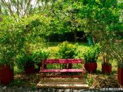 Casa Campestre En Venta En Cartagena V147983