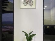 CASA CAMPESTRE EN VENTA VEREDA UVITO SAN CRISTÓBAL